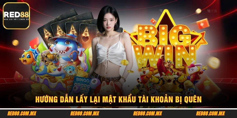 Hướng dẫn lấy lại mật khẩu tài khoản bị quên