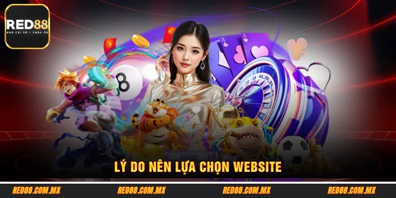 Lý do nên lựa chọn website 