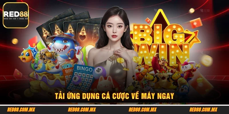 Tải ứng dụng cá cược về máy ngay